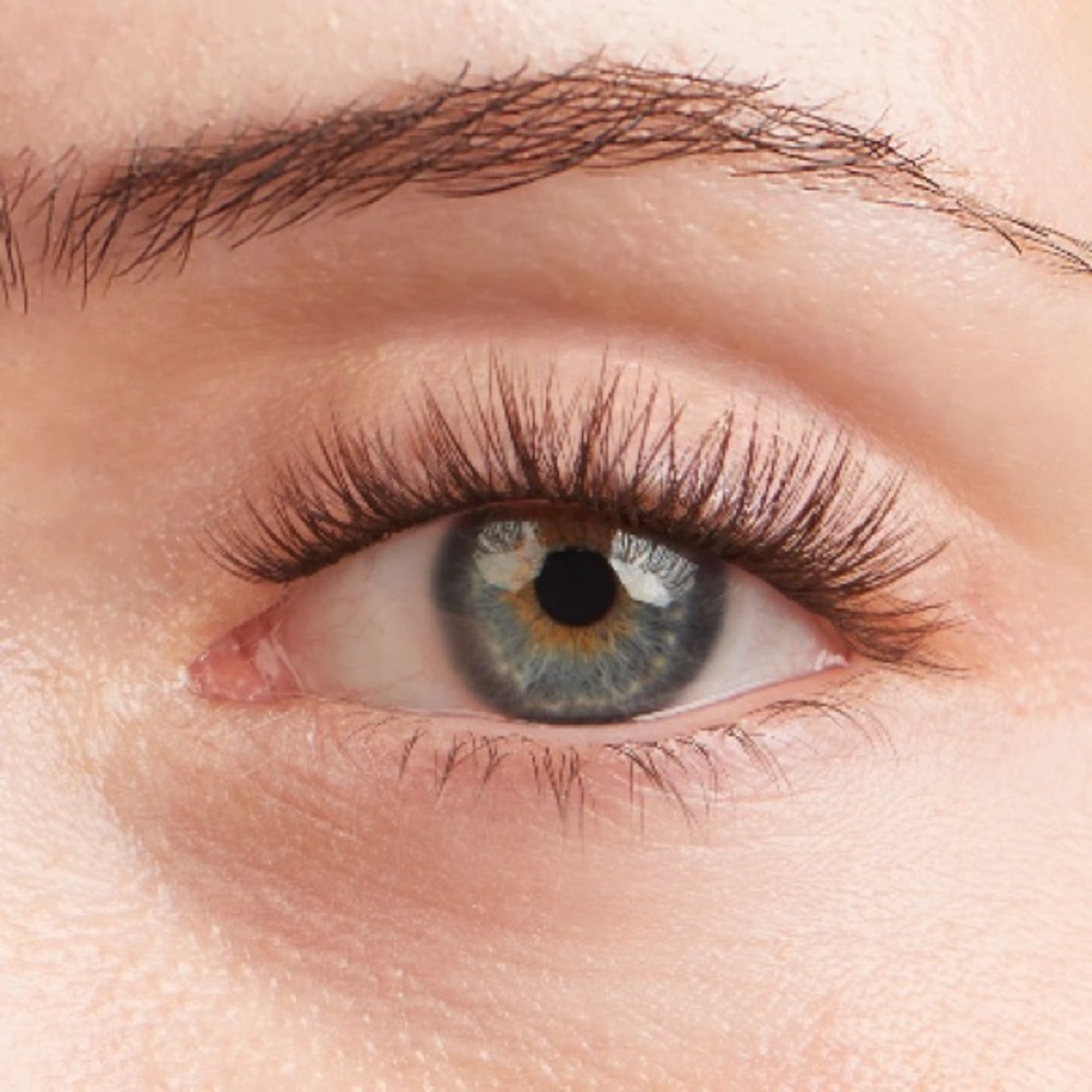 60% off 52 Packs of Lilac St Originals Espresso Lash Clusters 10mm 12mm 14mm